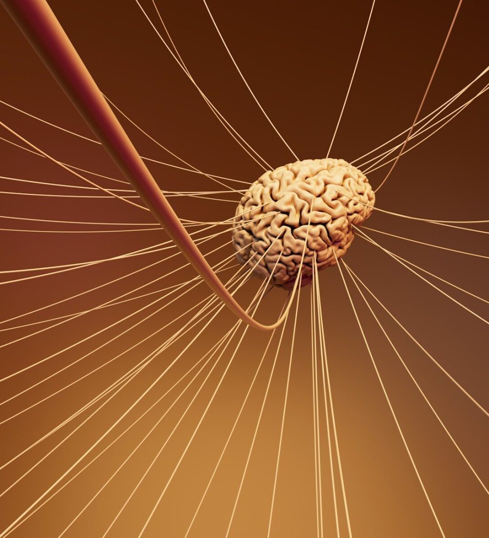 A computer generated image of a human brain
